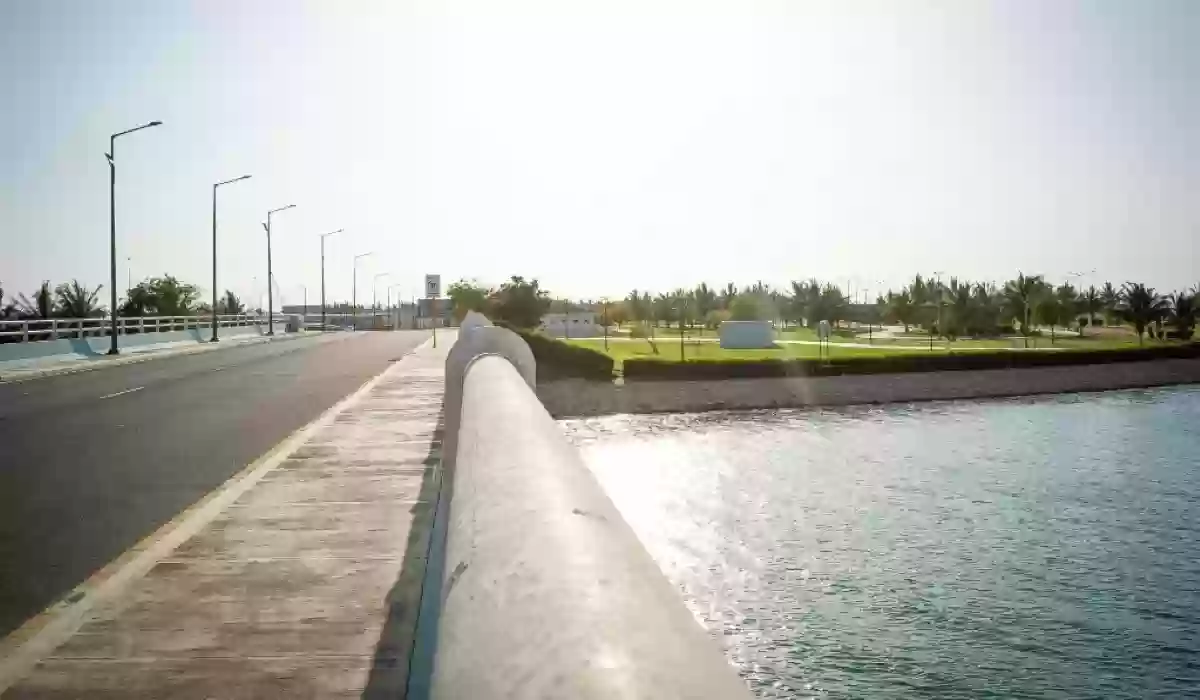 أفضل أنشطة في جزيرة النورس ينبع السعودية