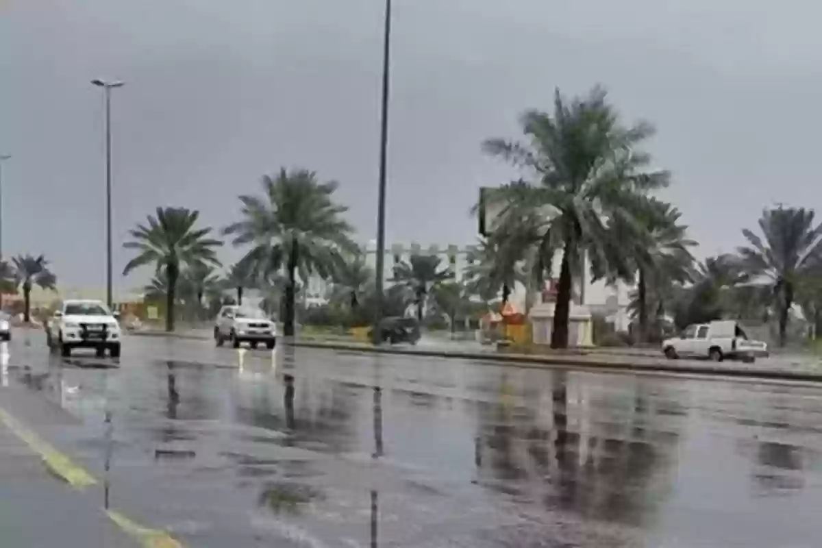 طقس السعودية: أمطار رعدية ورياح نشطة على بعض المناطق