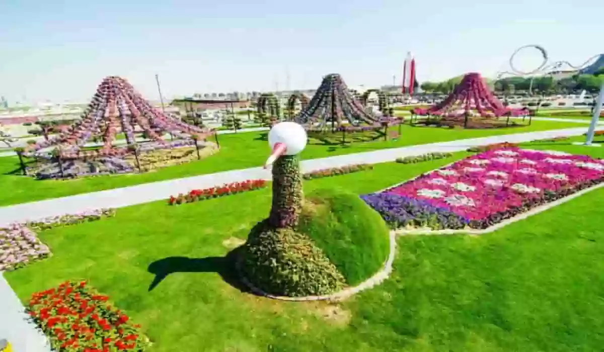 دليلك لأفضل حدائق ومنتزهات في السعودية 2024