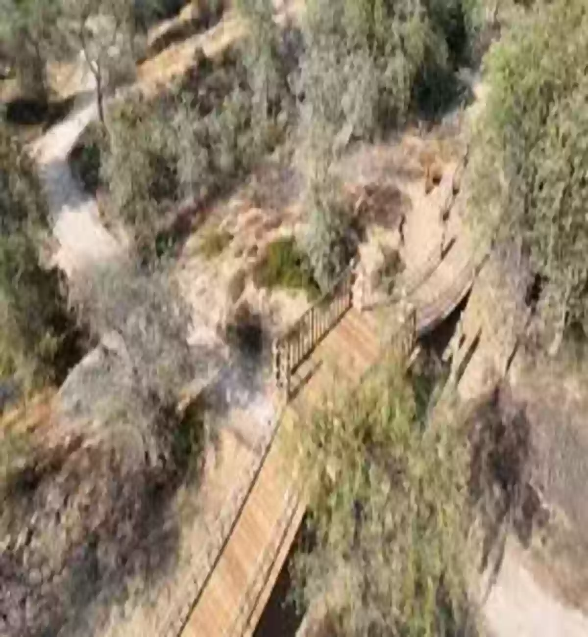 بلدية دبي